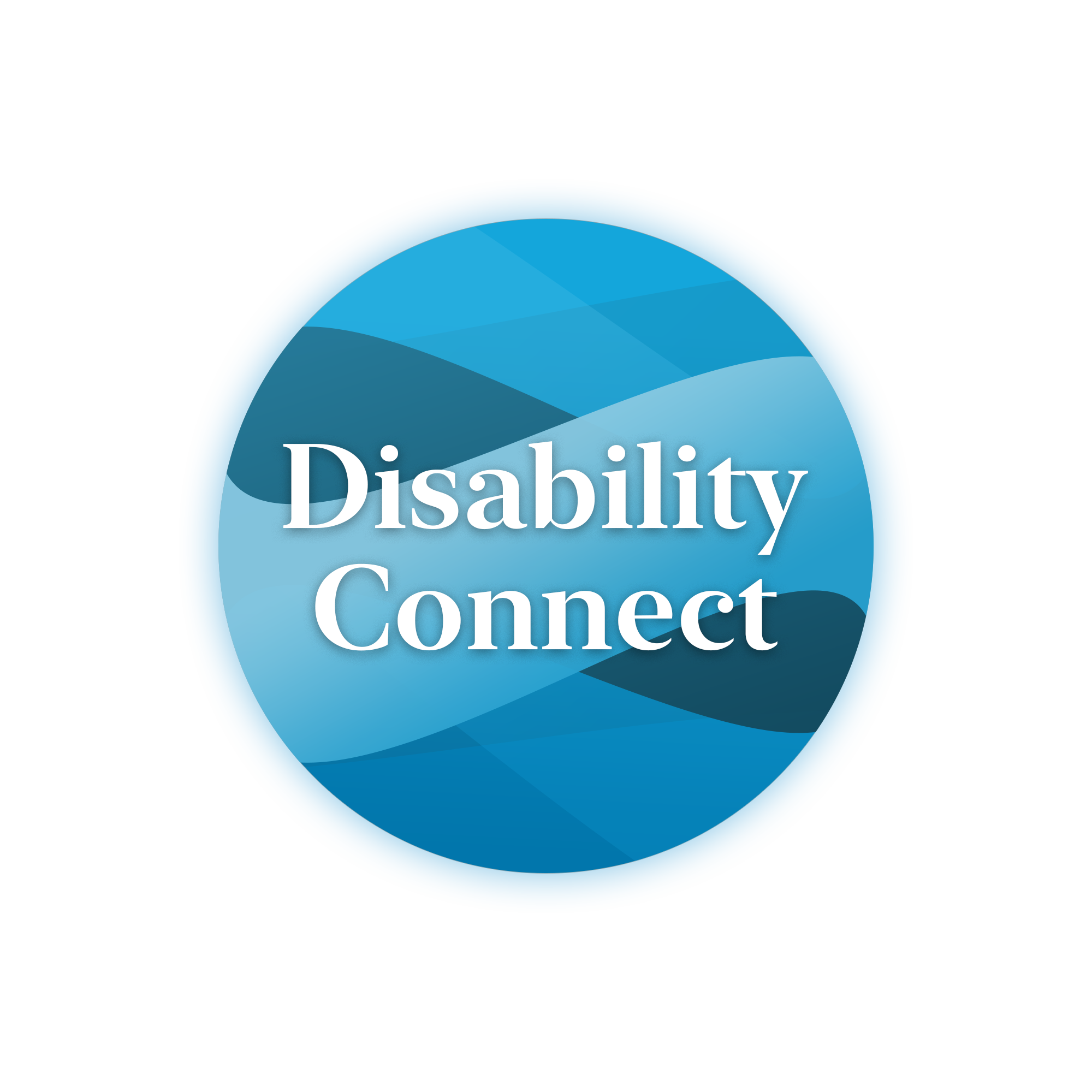 Disability Connect Mentoring Scheme 