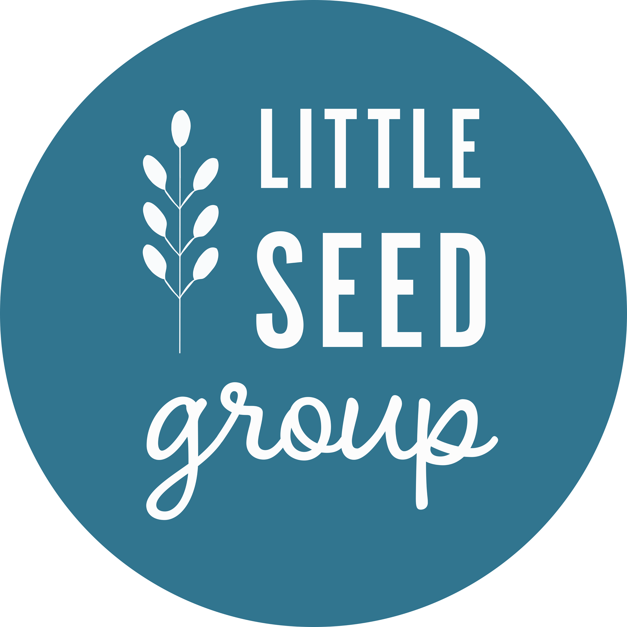 Little Seed Group