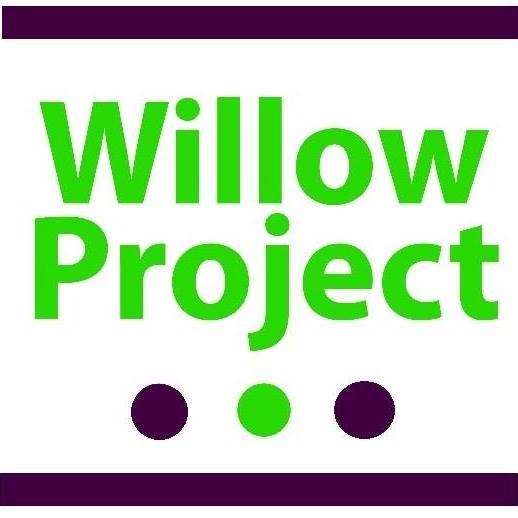 willow project 